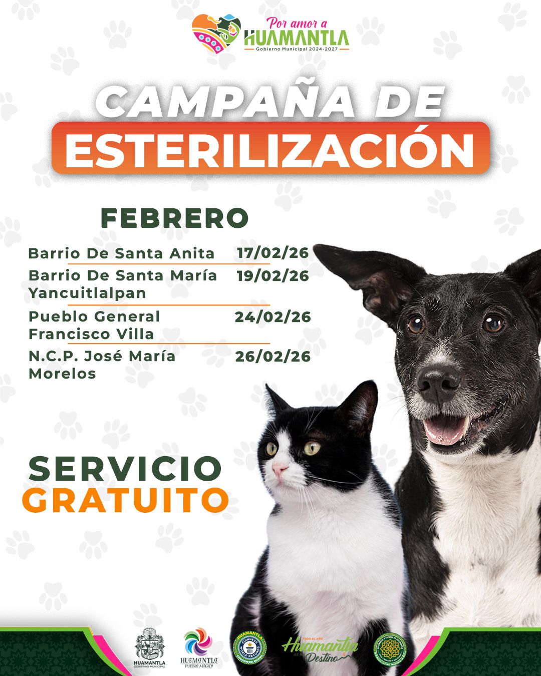Gobierno municipal de Huamantla fortalece el bienestar animal con jornadas de esterilización